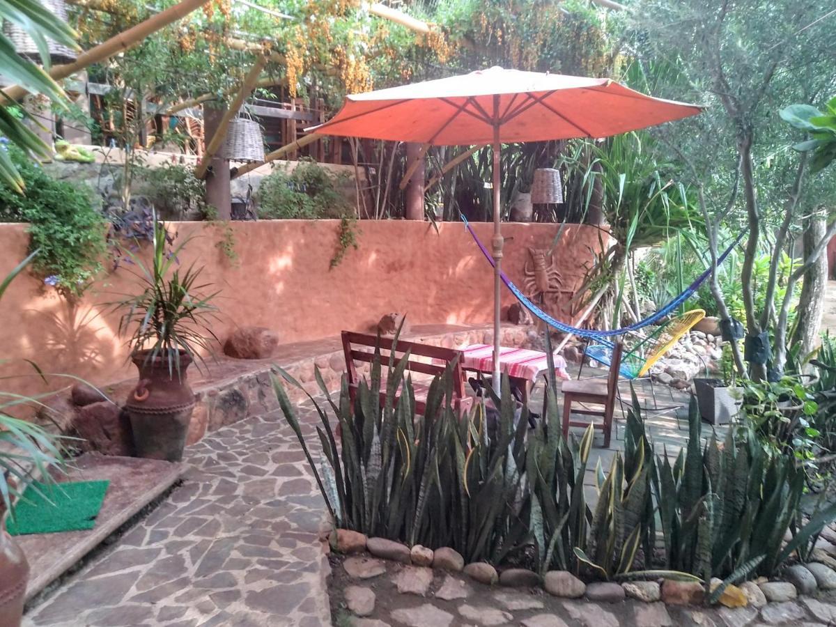 Posada Olivo Mazunte Exterior photo