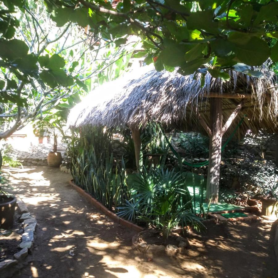 Posada Olivo Mazunte Exterior photo
